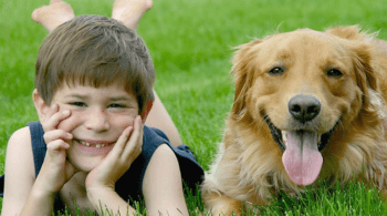 Animal de compagnie : les bénéfices pour votre famille