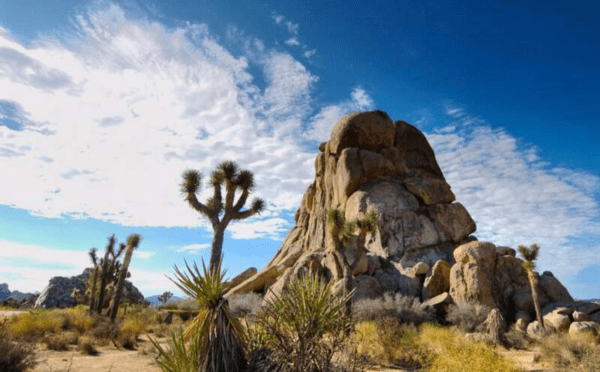 Histoire de la communication : Tout a démarré en californie