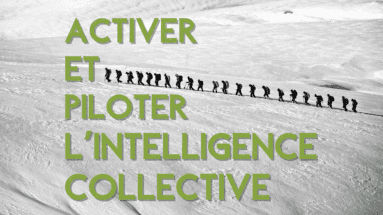 Activer et piloter l\'Intelligence collective